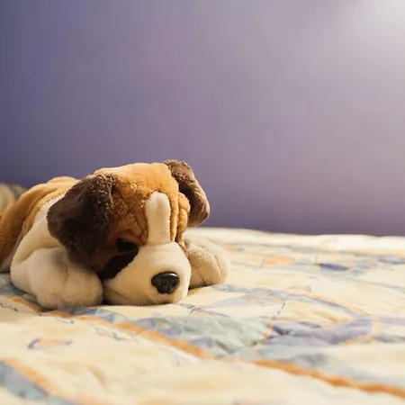 Vacaciones Apartment